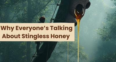Stingless Honey Review 2025: Benefits, Purity Test & Real Price Guide